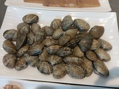 -鑫渔港海鲜本地菜·山海关浑锅(东戴河店)