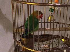 -小厨娘淮扬菜(六合欢乐港店)