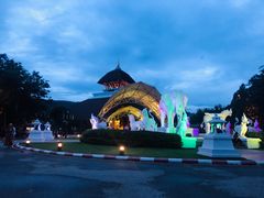 -清迈夜间动物园