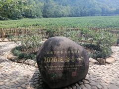 -中国茶叶博物馆(双峰馆区)