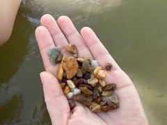 -碧海金沙