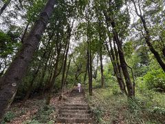 -广州市帽峰山景区