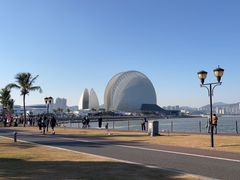 -野狸岛