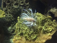 -多彩贵州城极地海洋世界