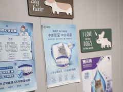 -半岛宠物医院24小时(科华中路店)