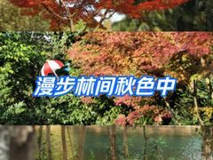 -温江公园