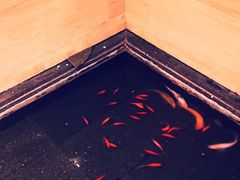 -豆花酒楼·三十八年匠心(秦皇东大街店)