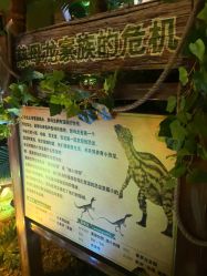 -恐龙探索乐园(磁器口店)