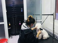 -超宠爱宠物摄影-Super pet