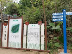 -羚羊峡古栈道森林公园