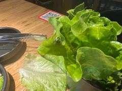 -九田家黑牛烤肉料理(新光汇店)