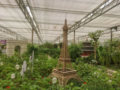 -南宫五洲植物乐园