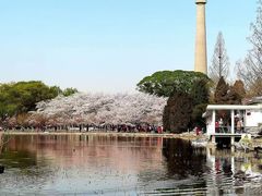 -中央广播电视塔