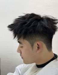 -YESIDO椰岛造型