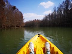 -上海海湾国家森林公园