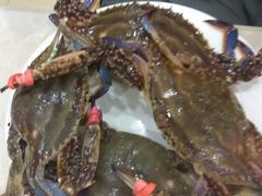 -春华海鲜城(广场西苑店)
