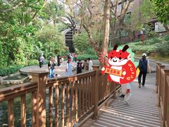 -香港大学
