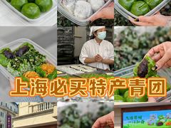 -沈大成(南京东路店)