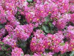 -杭州城北体育公园