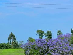 -白鹭湾湿地公园
