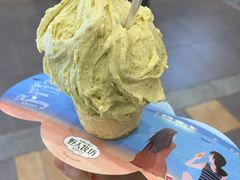 -野人先生现做冰淇淋(西安赛格店)