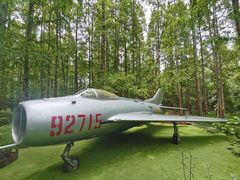 -东平国家森林公园