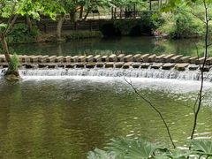-阿哈湖国家湿地公园