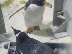 -杭州长乔极地海洋公园