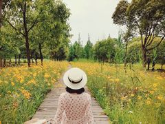 -柳鹭田园区