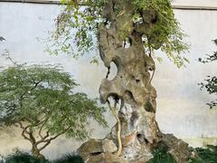 -松鹤楼(山塘街店)