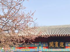 -桃花堤公园