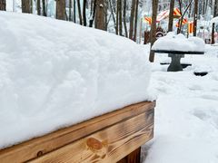 -洛阳白云山景区