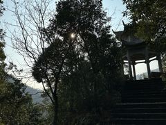-浙东大峡谷风景区