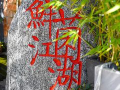 -鲜菌江湖正宗野生菌火锅
