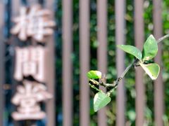 -梅间堂茶馆(绿地缤纷城店)
