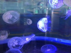 -横店影视城梦幻谷园区