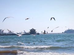 -栈桥景区