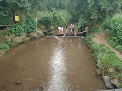 -重庆彩云湖湿地公园