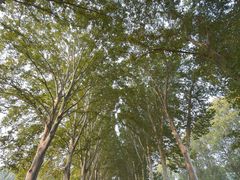 -河南省黄河迎宾馆