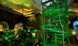 -恐龙探索乐园(磁器口店)