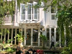 -Fern Forest Cafe