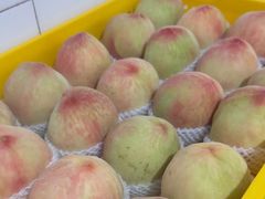 -老袁家蜜桃农场·阳山水蜜桃