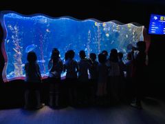 -蓝莓果幼儿园(通州梨园店)