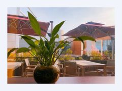 -IL Forno 意坊·意大利餐厅(温州万象城店)