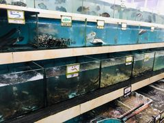 水产区-秋姐美食店(旅游大道店)