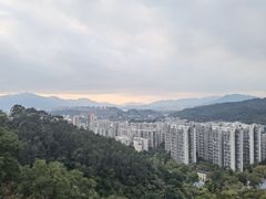 -福道