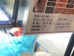 -宠物世家(仲盛世界商城店)