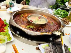 -枇杷园食为鲜火锅(南山店)