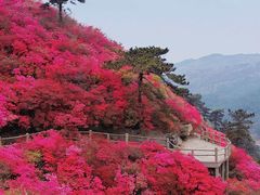 -木兰云雾山