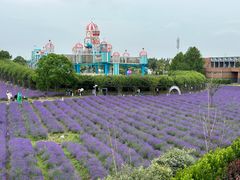 -季高兔窝窝亲子园(上海薰衣草公园店)